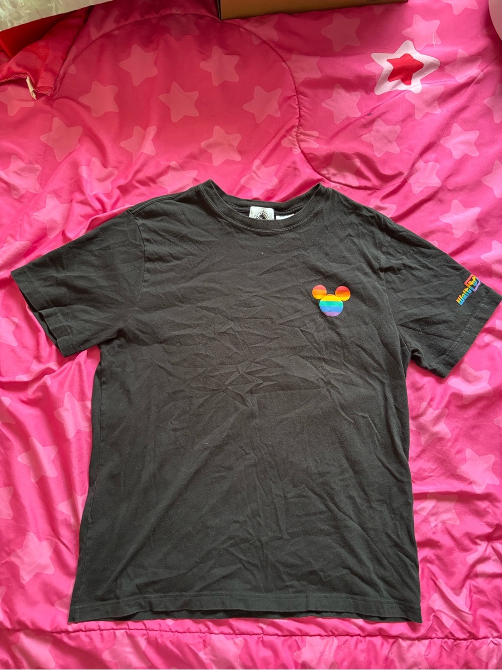 Walt Disney World Pride Collection T-shirt
Large